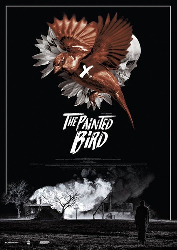 Dvd the painted bird - dvd,