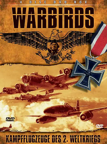 War birds kampfflugzeuge - birds, des